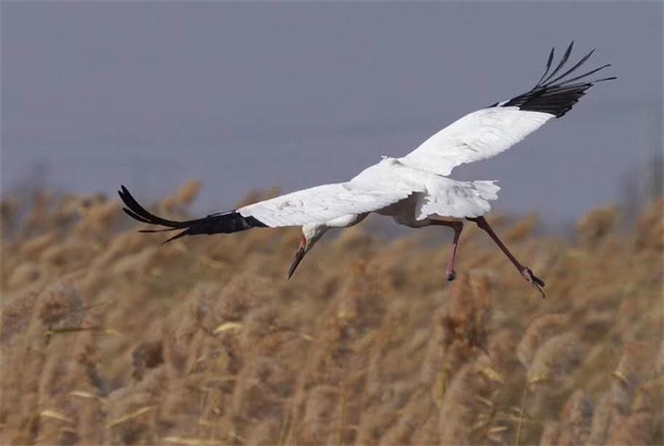7790طŹ,Ұ׷,׷,׷