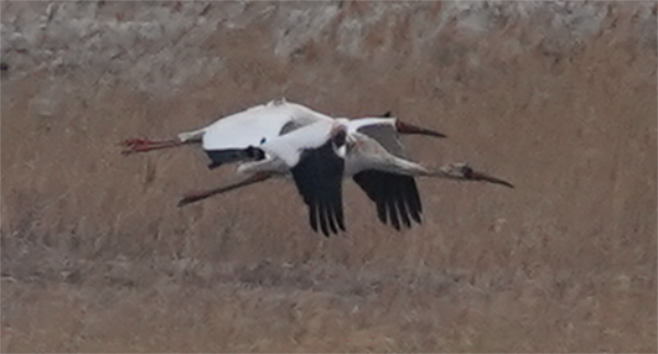 7790طŹ,Ұ׷,׷,׷