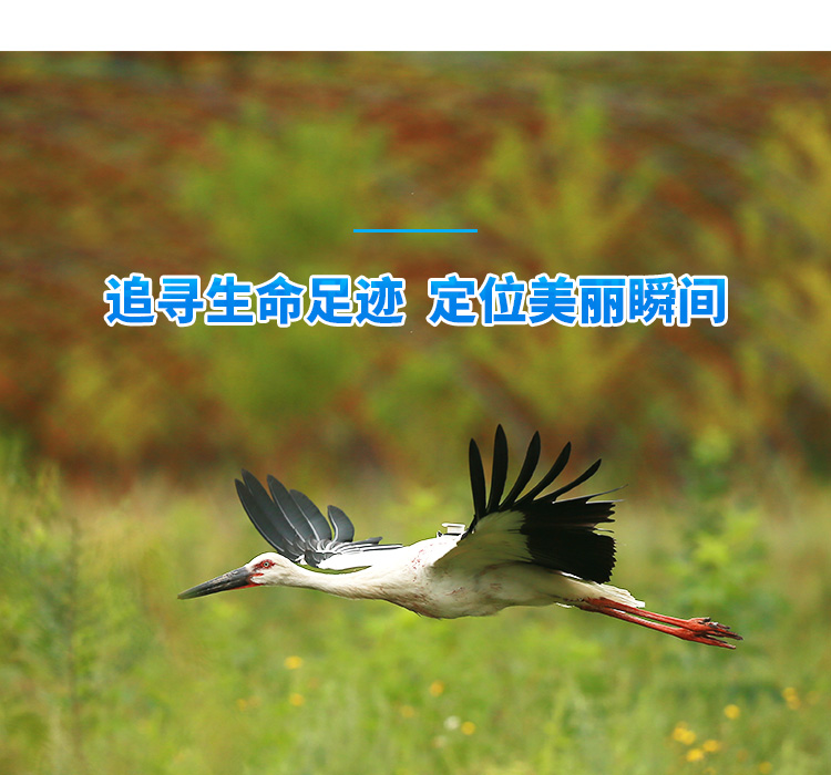 7790طŹ_Ұ׷|׷