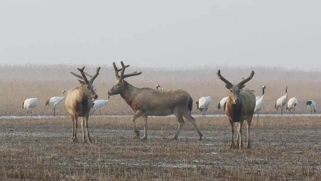7790طŹ,Ұ׷,׷,׷