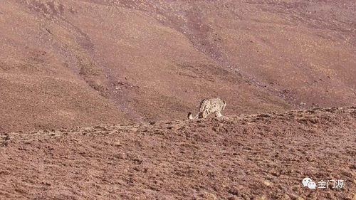 7790طŹ,Ұ׷,׷,׷