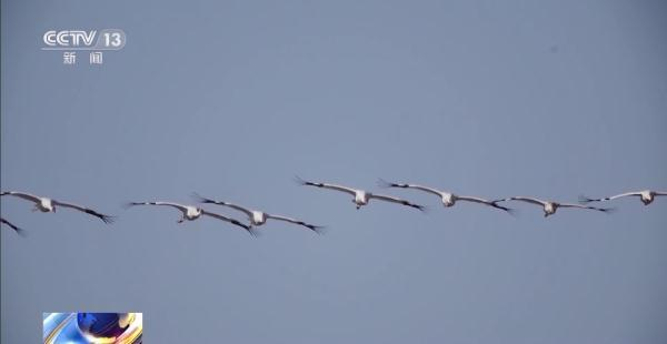 7790طŹ,Ұ׷,׷,׷