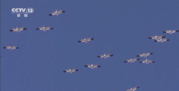 7790طŹ,Ұ׷,׷,׷