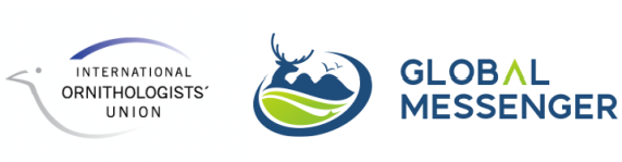 7790طŹ,Ұ׷,׷,׷