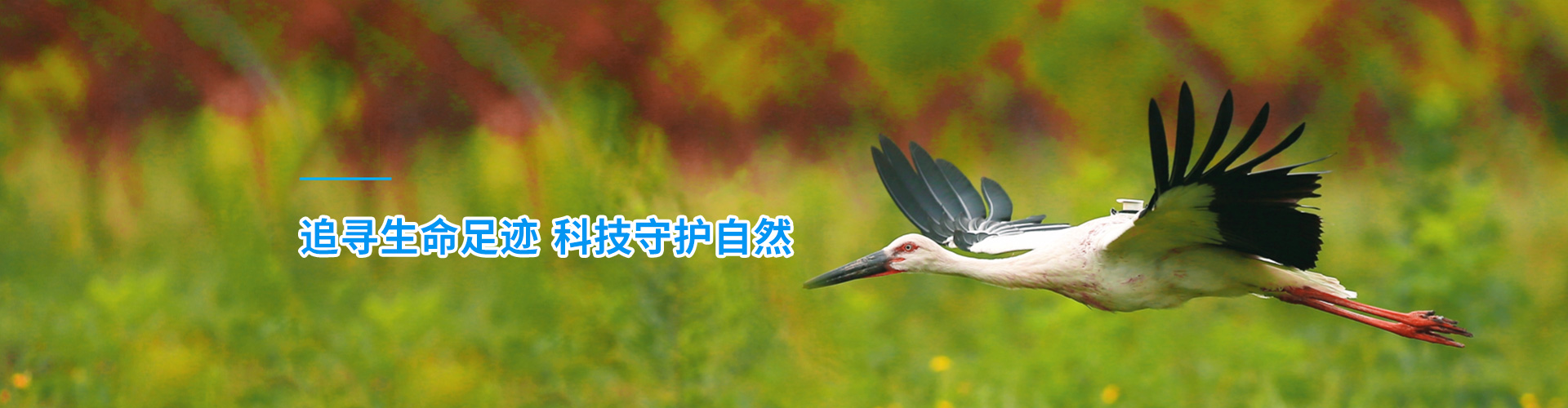7790طŹ_Ұ׷|׷